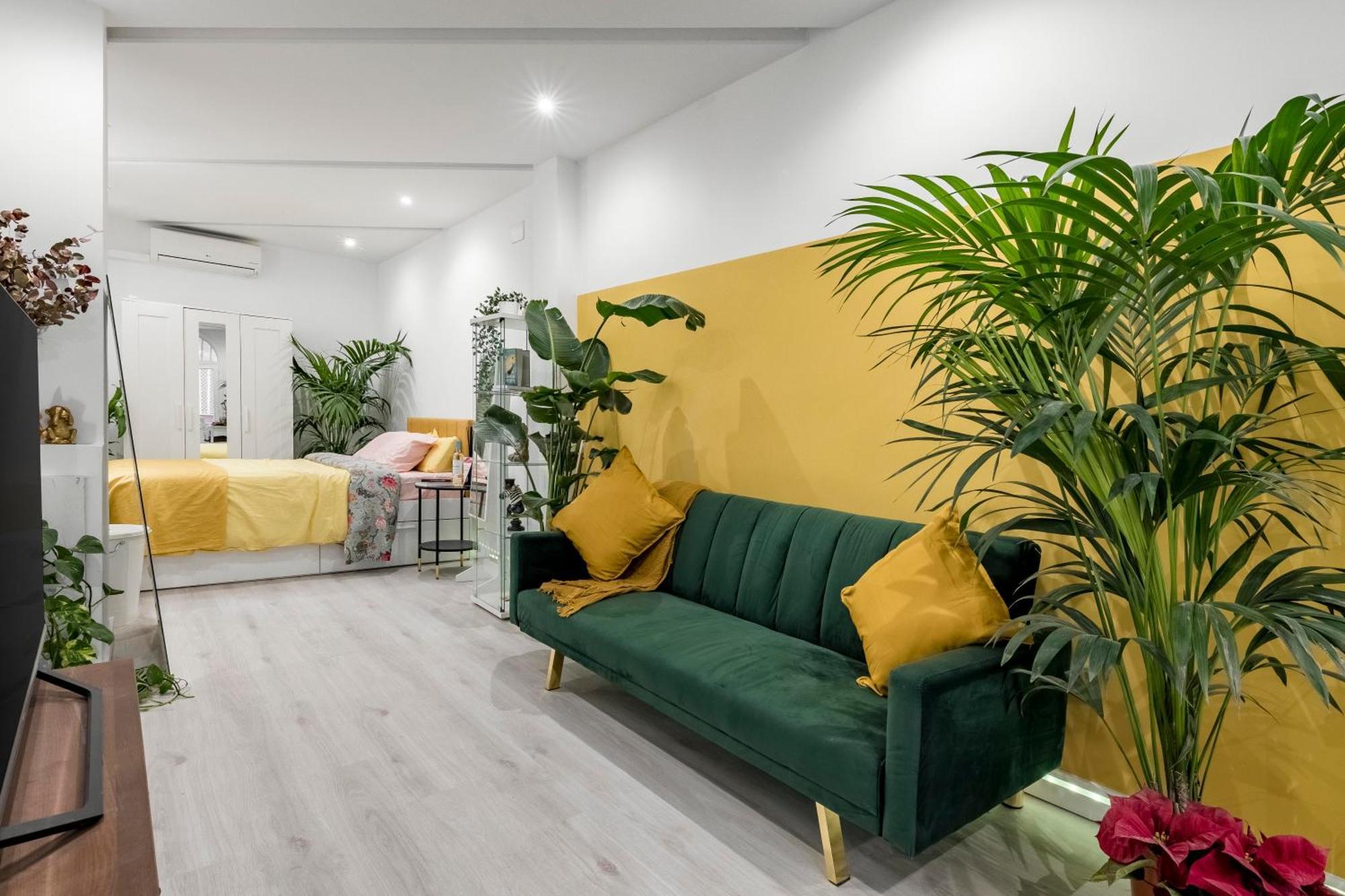 Casa Sana Corazon - Barrio Salamanca, Madrid